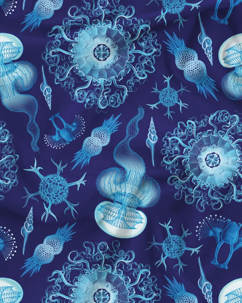 Men's Boxer Shorts – Haeckel