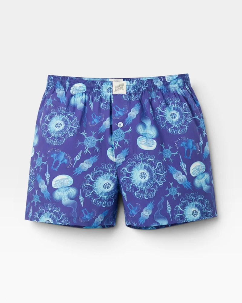 Men's Boxer Shorts – Haeckel