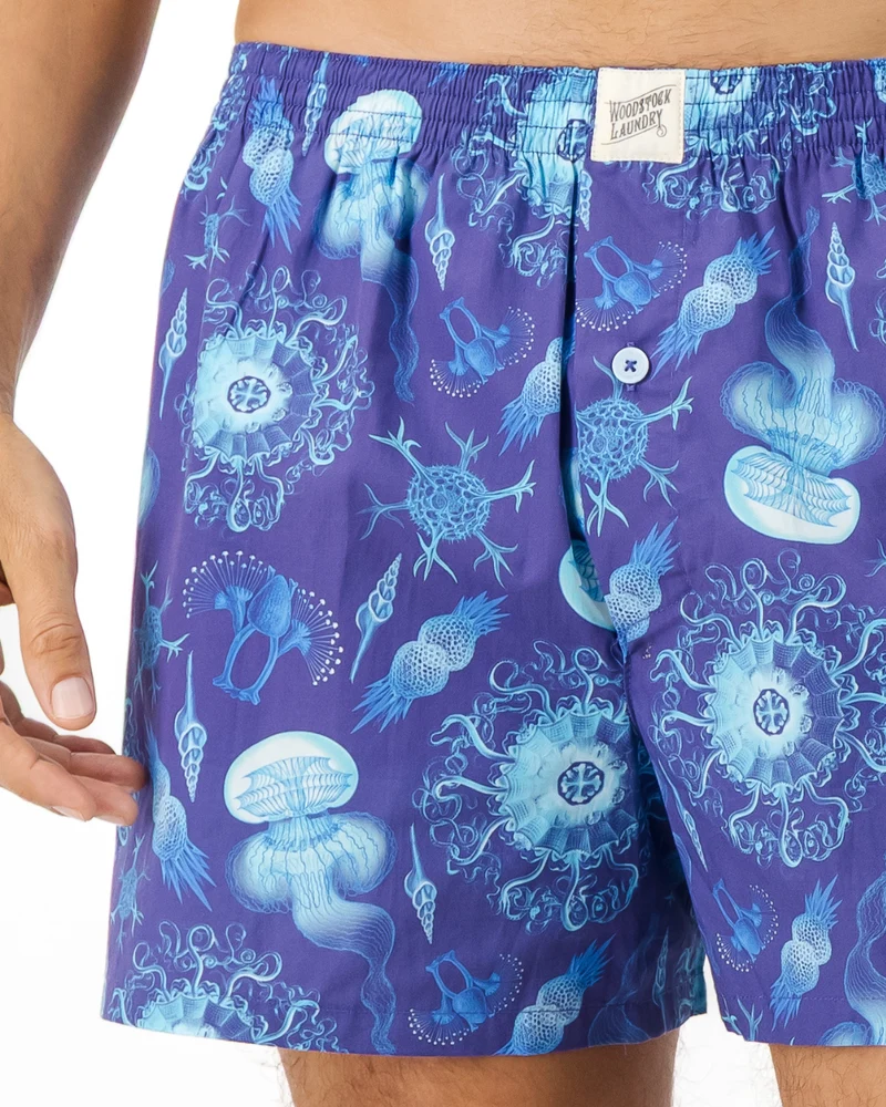 Men's Boxer Shorts – Haeckel