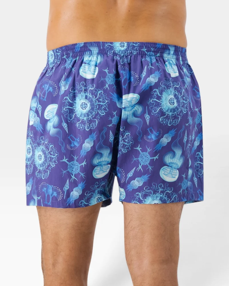 Men's Boxer Shorts – Haeckel