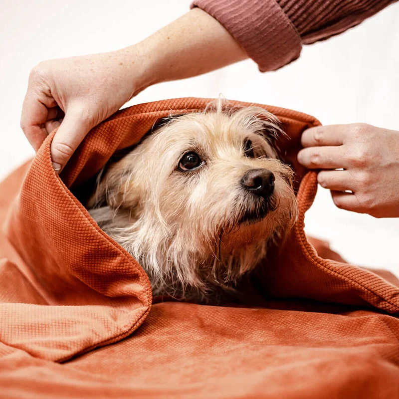 Hunde Gewichtsdecke