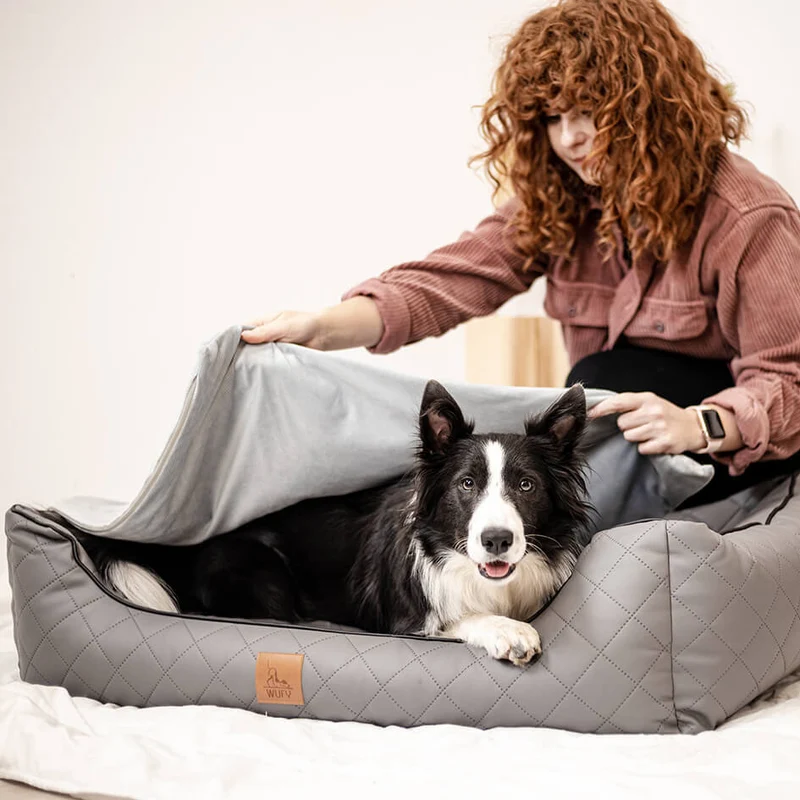 Hunde Gewichtsdecke