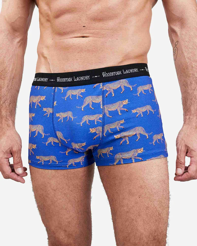 Men's Boxer Briefs – Blue Cheetah