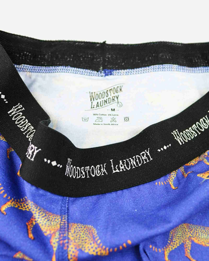 Men's Boxer Briefs – Blue Cheetah