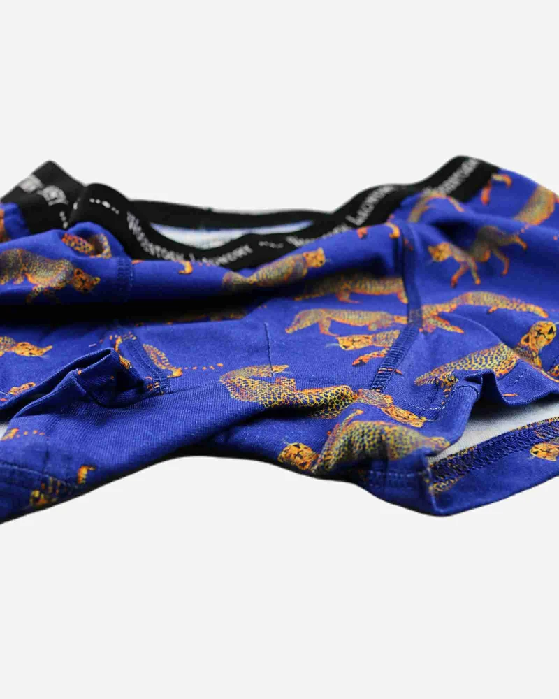 Men's Boxer Briefs – Blue Cheetah
