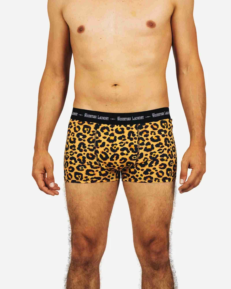 Men's Boxer Briefs – Leopard Skin