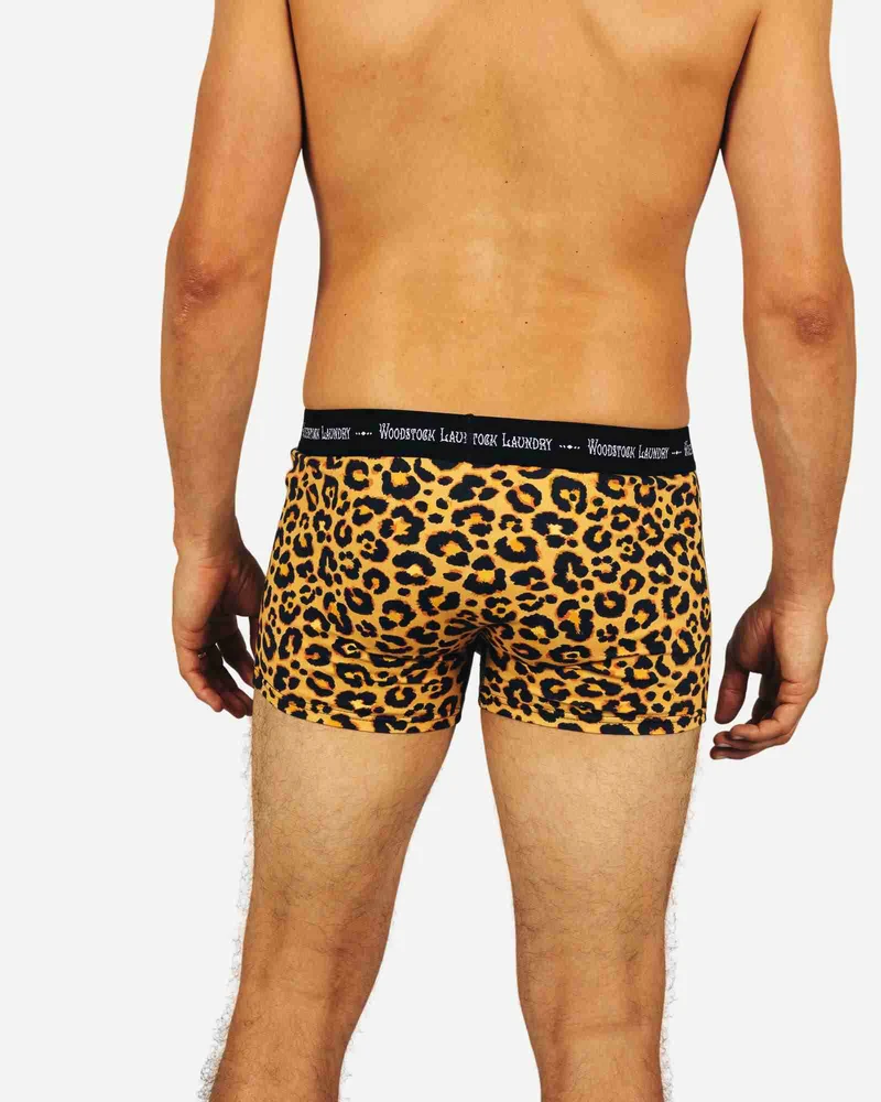 Men's Boxer Briefs – Leopard Skin
