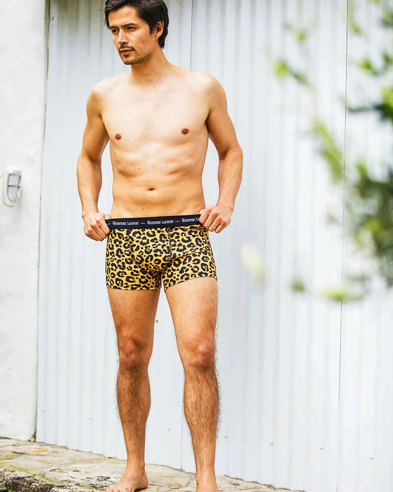 Men's Boxer Briefs – Leopard Skin