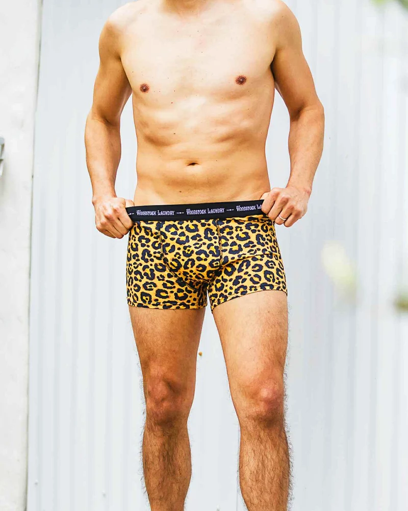 Men's Boxer Briefs – Leopard Skin