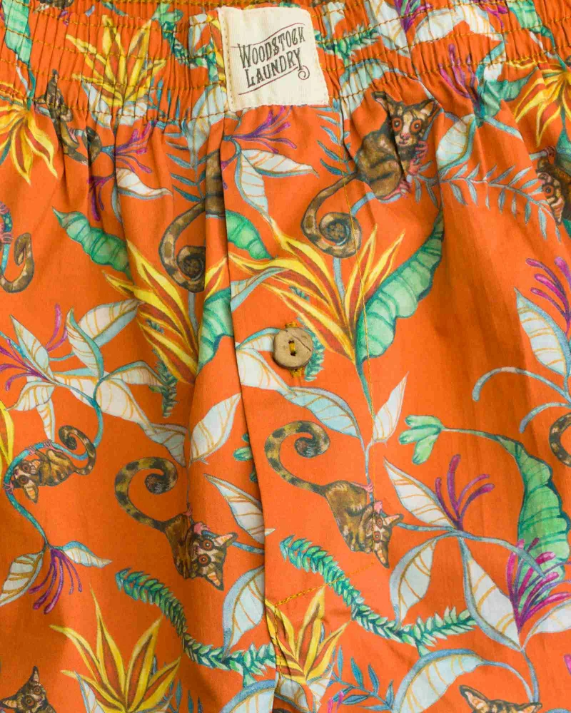 Men's Boxer Shorts – Nag Apies Orange