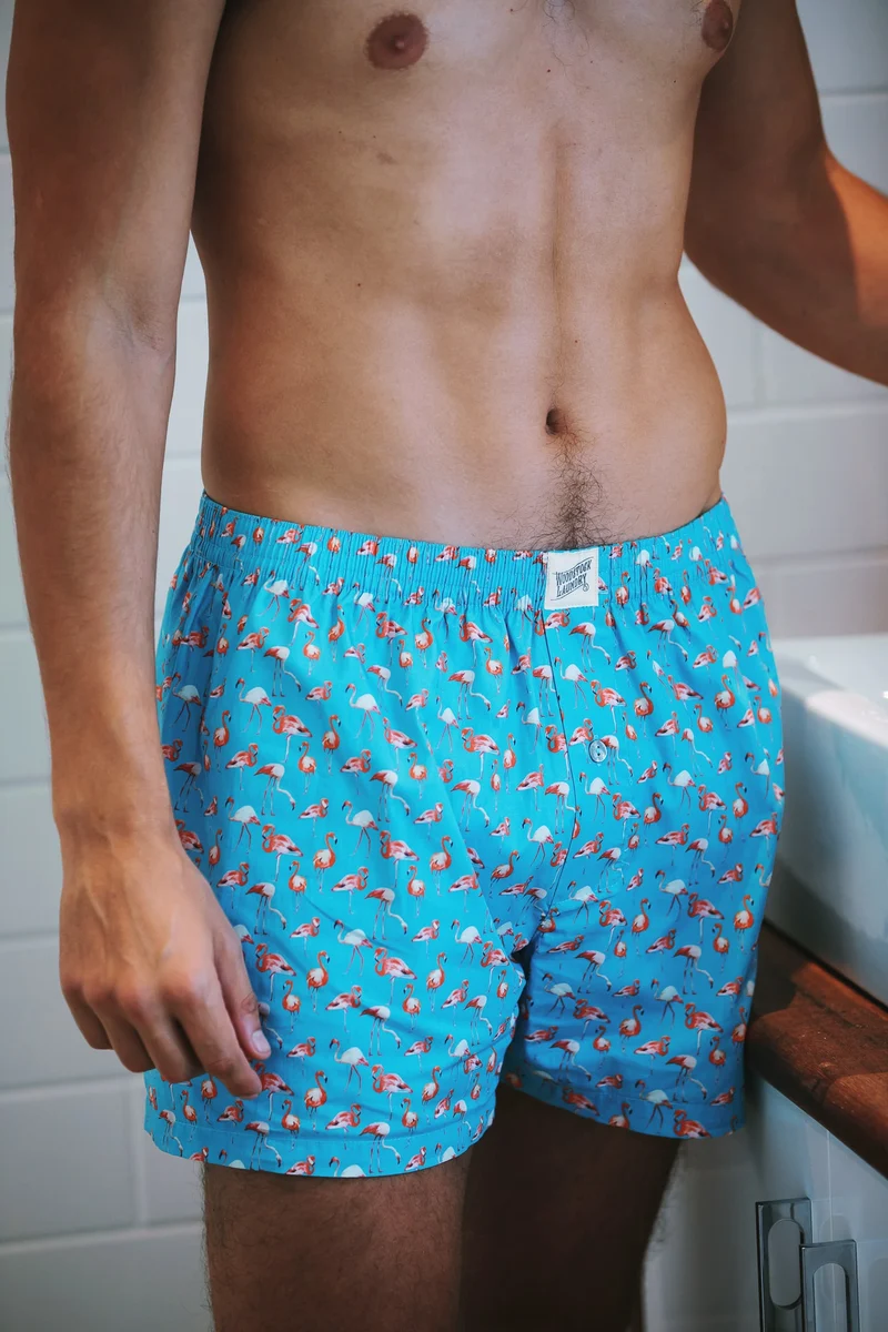 Men's Boxer Shorts – Flamingo Blue
