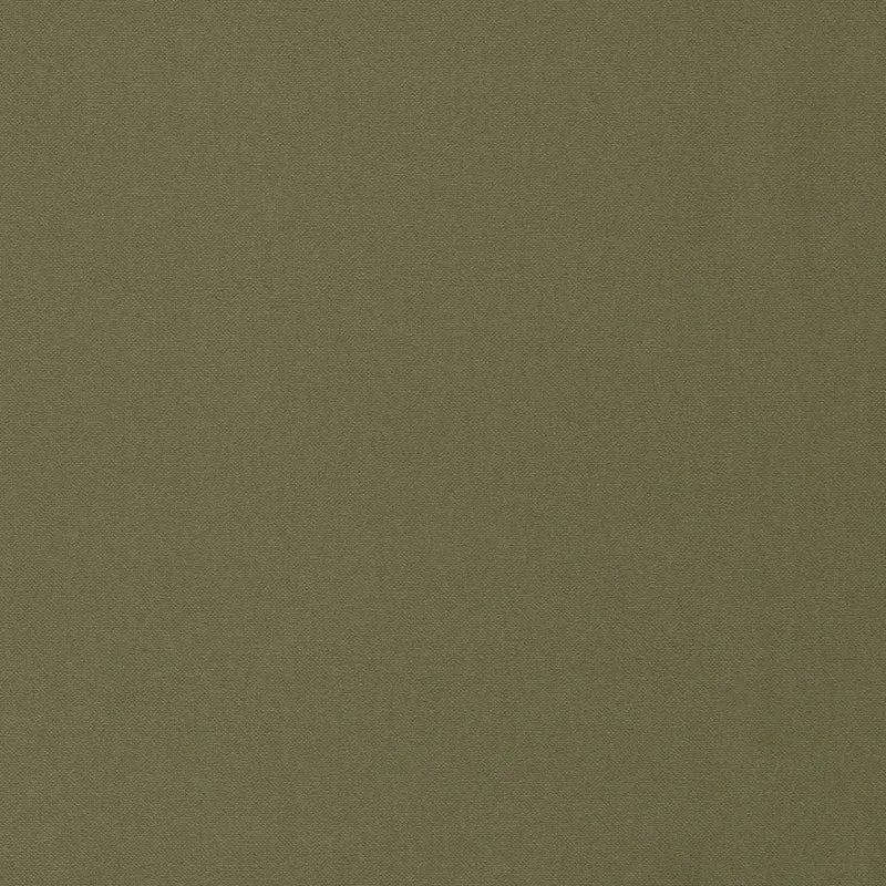 Cotton Plain - willow