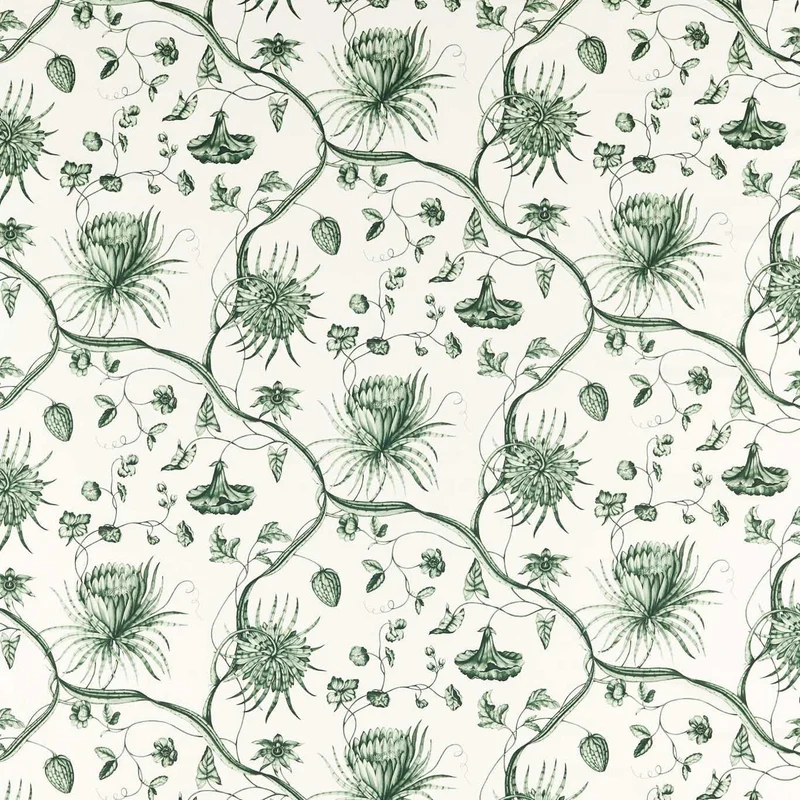 Phaedra Toile - jagdgrün