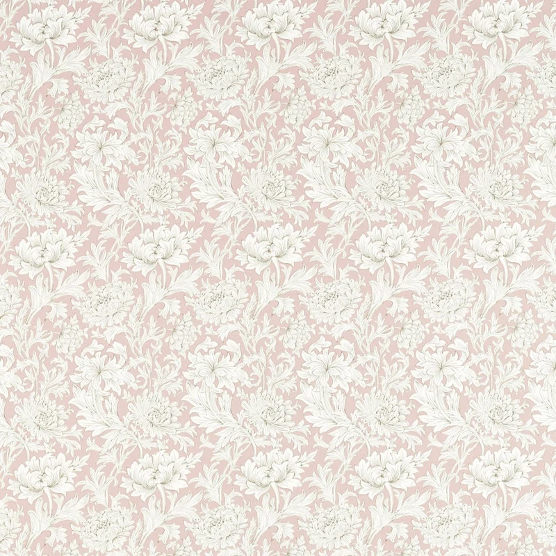 Chrysanthemen Toile - rosa