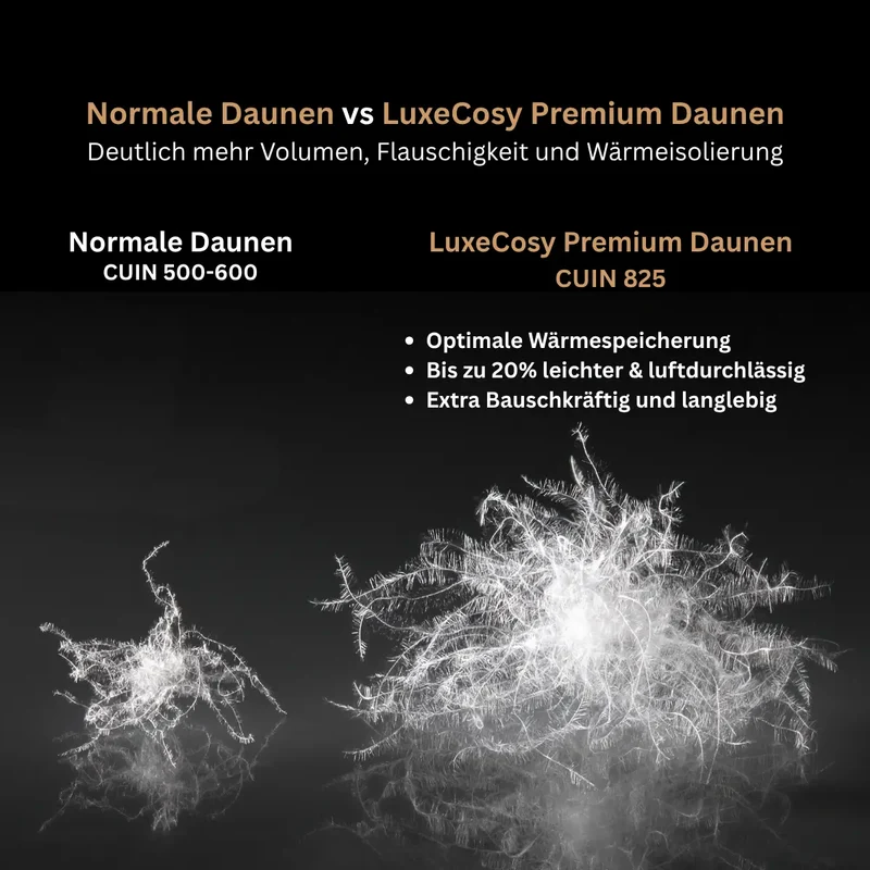 Pure Gänse-Daunendecke