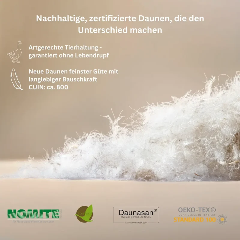 Premium Daunendecke Wildentendaune Typ Eiderdaune