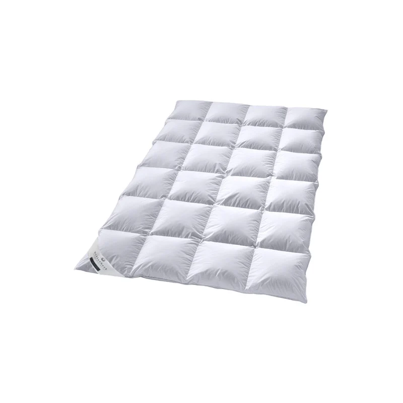 warme Winter-Daunendecke COLINA KASSETTE II