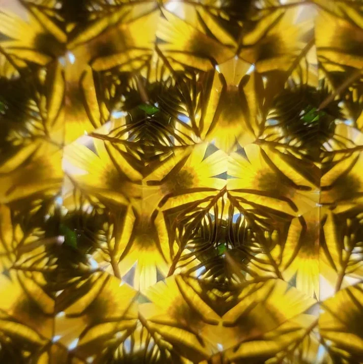 Waldwunder Kaleidoskop
