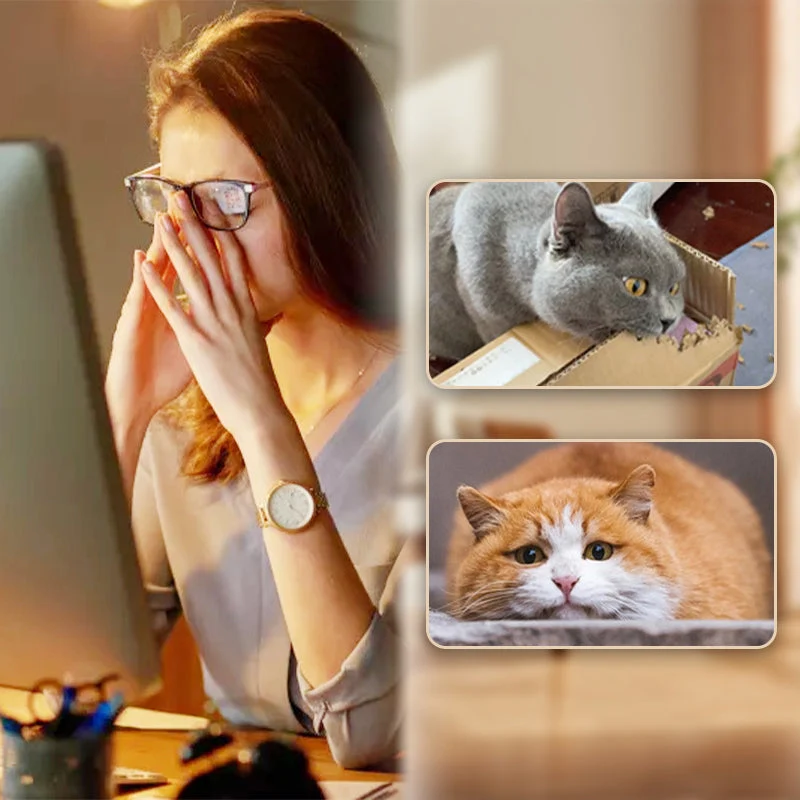 Begrenzte Zeit 50% Rabatt Interaktiver Hüpfball für Katzen mit Federn