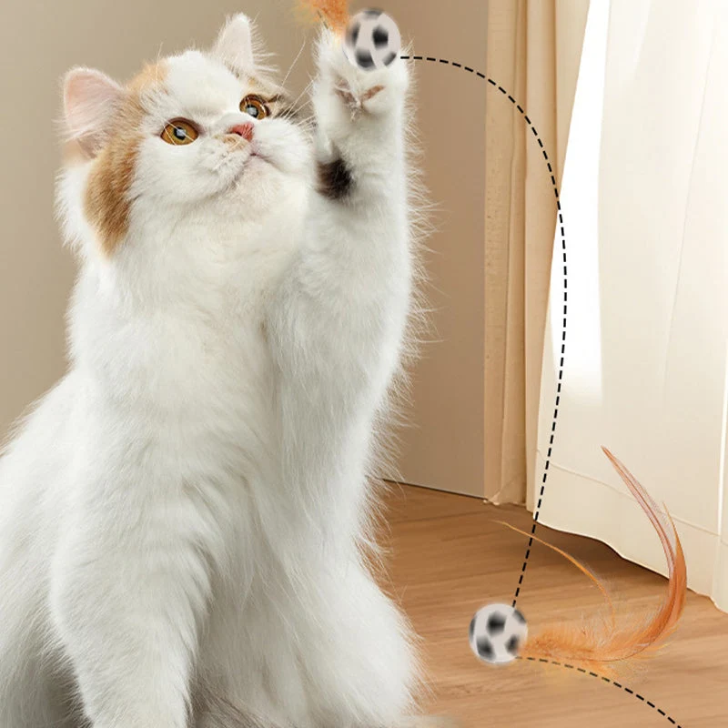 Begrenzte Zeit 50% Rabatt Interaktiver Hüpfball für Katzen mit Federn