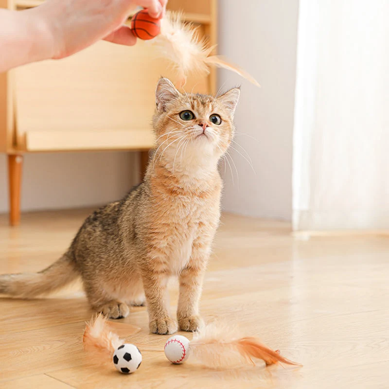 Begrenzte Zeit 50% Rabatt Interaktiver Hüpfball für Katzen mit Federn