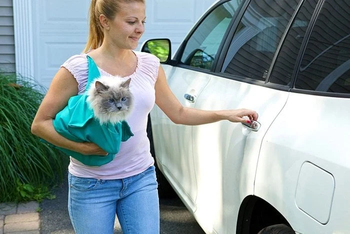 KittyTasche™ Sicheres Tragen der Kitty