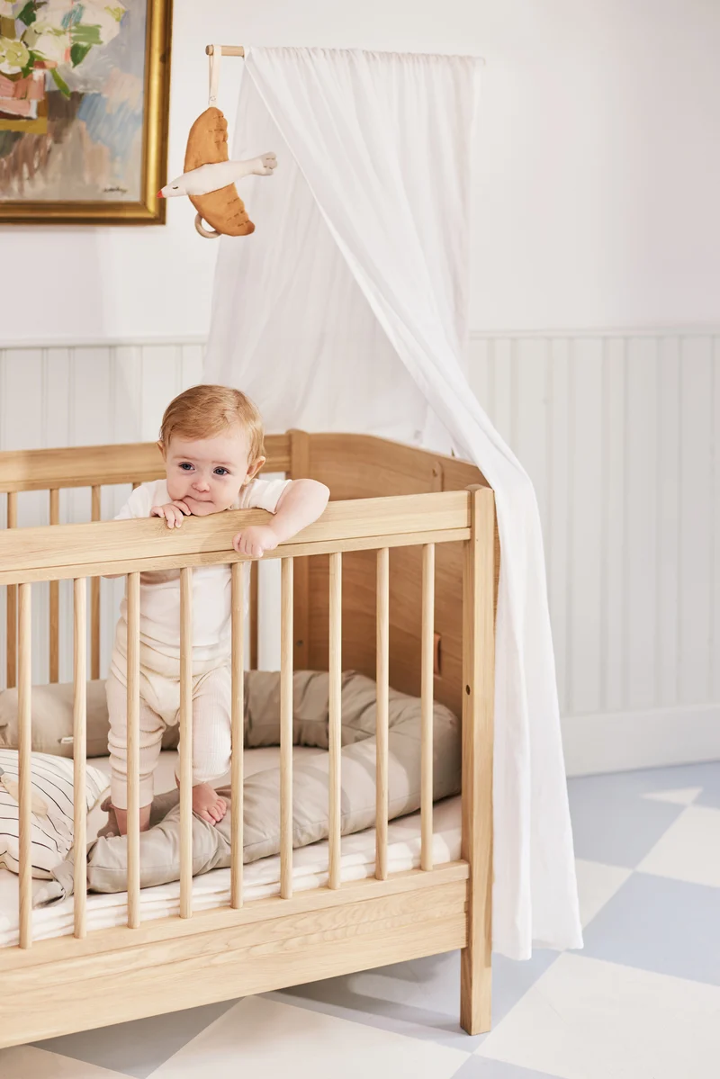 Dear April Skye Bettschlange, Little Mouse