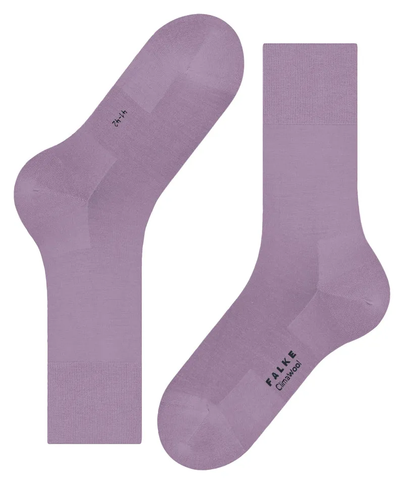 FALKE ClimaWool Herren