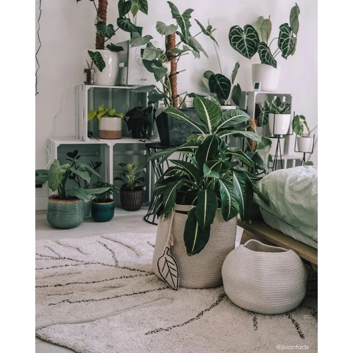 Washable rug Monstera Natural