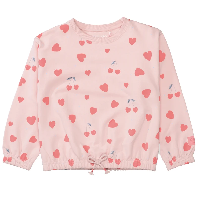 Md.-Sweatshirt