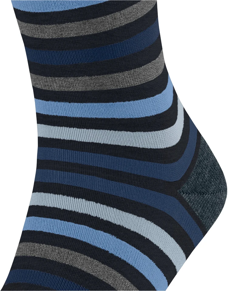 FALKE Tinted Stripe Herren